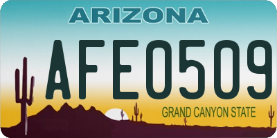 AZ license plate AFE0509