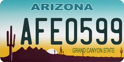 AZ license plate AFE0599