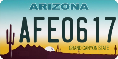 AZ license plate AFE0617