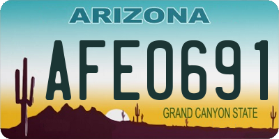 AZ license plate AFE0691