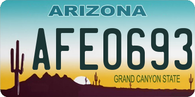 AZ license plate AFE0693