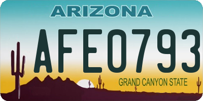 AZ license plate AFE0793