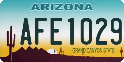 AZ license plate AFE1029