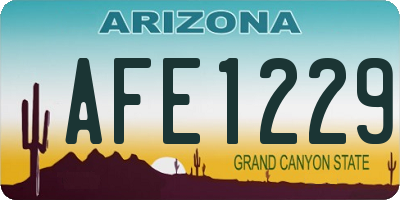 AZ license plate AFE1229