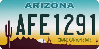 AZ license plate AFE1291