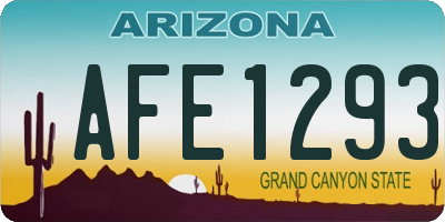 AZ license plate AFE1293
