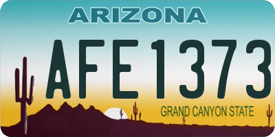 AZ license plate AFE1373