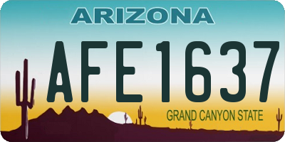 AZ license plate AFE1637