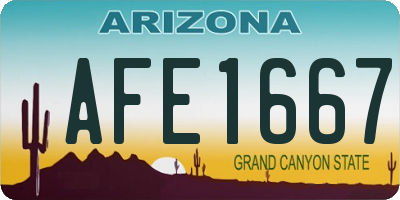 AZ license plate AFE1667