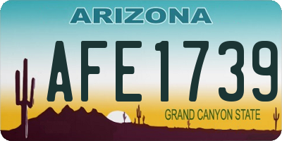 AZ license plate AFE1739