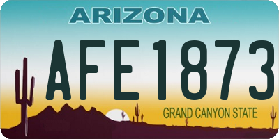 AZ license plate AFE1873