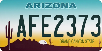 AZ license plate AFE2373