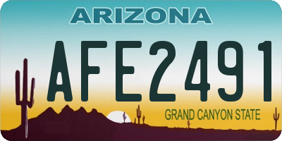 AZ license plate AFE2491