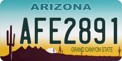 AZ license plate AFE2891