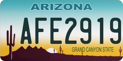AZ license plate AFE2919