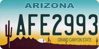 AZ license plate AFE2993