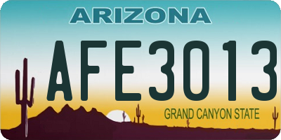 AZ license plate AFE3013