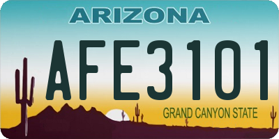 AZ license plate AFE3101