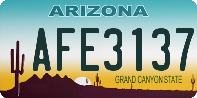 AZ license plate AFE3137