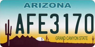 AZ license plate AFE3170