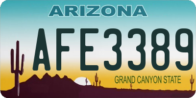 AZ license plate AFE3389