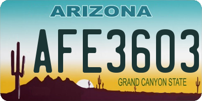 AZ license plate AFE3603