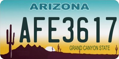 AZ license plate AFE3617
