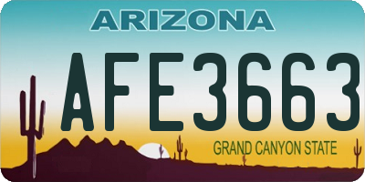 AZ license plate AFE3663