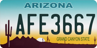 AZ license plate AFE3667