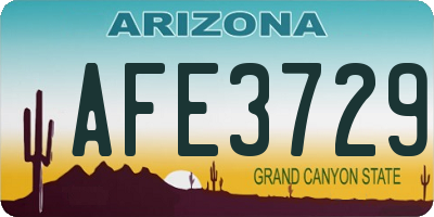 AZ license plate AFE3729