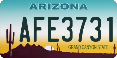 AZ license plate AFE3731