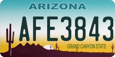 AZ license plate AFE3843
