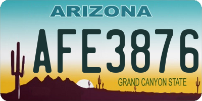 AZ license plate AFE3876