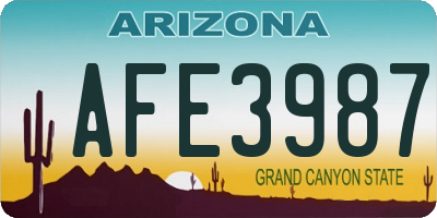 AZ license plate AFE3987
