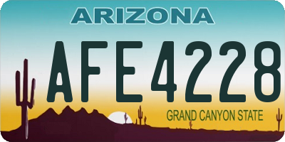 AZ license plate AFE4228