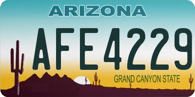 AZ license plate AFE4229