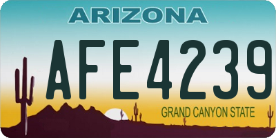 AZ license plate AFE4239