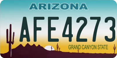 AZ license plate AFE4273