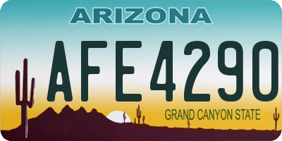 AZ license plate AFE4290