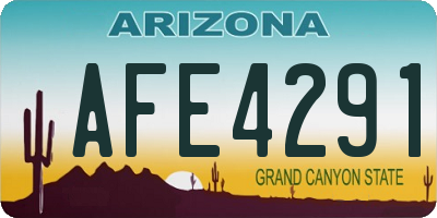 AZ license plate AFE4291
