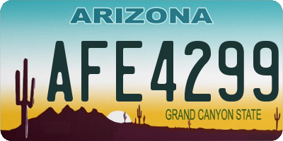 AZ license plate AFE4299