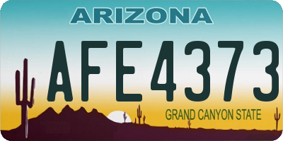 AZ license plate AFE4373