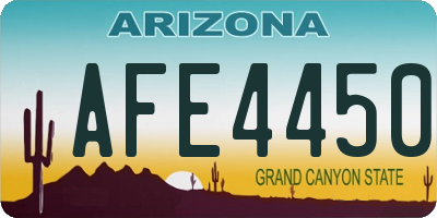 AZ license plate AFE4450