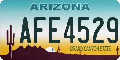 AZ license plate AFE4529