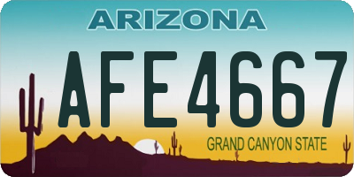 AZ license plate AFE4667