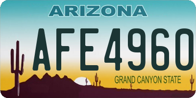 AZ license plate AFE4960