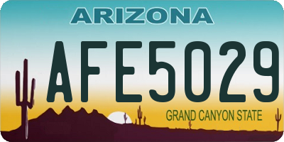 AZ license plate AFE5029