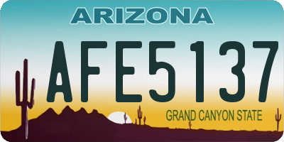 AZ license plate AFE5137
