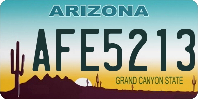 AZ license plate AFE5213