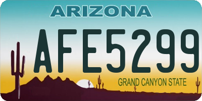 AZ license plate AFE5299